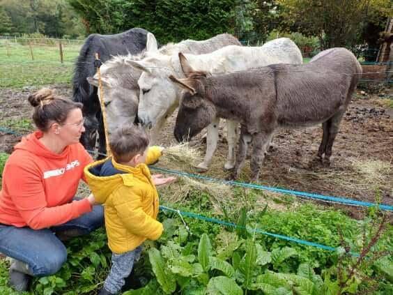  L'Arche de ma Nature (Bretagne, Ille-et-Vilaine)
