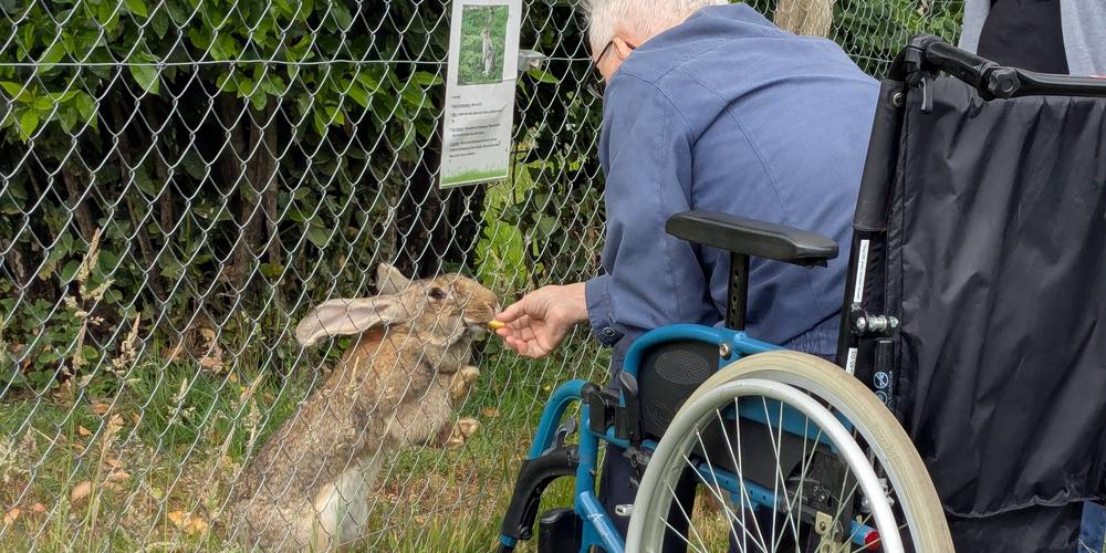 L'Arche de ma Nature (Bretagne, Ille-et-Vilaine)