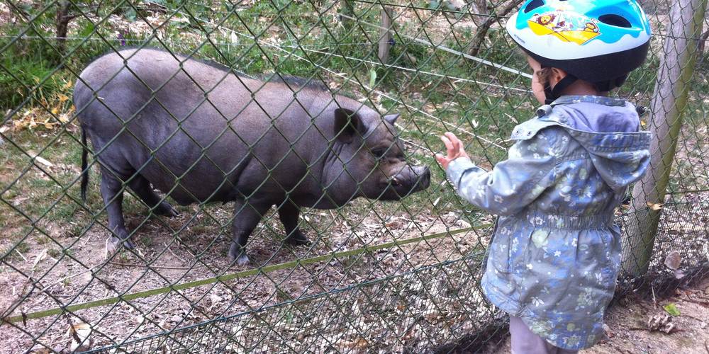  "un souffle sur le foin" (Bretagne, Ille-et-Vilaine)