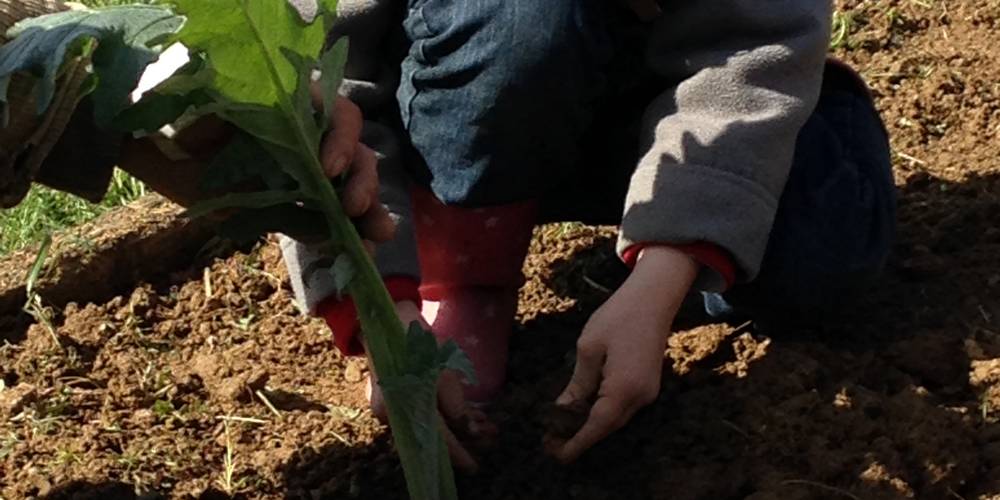  "un souffle sur le foin" (Bretagne, Ille-et-Vilaine)
