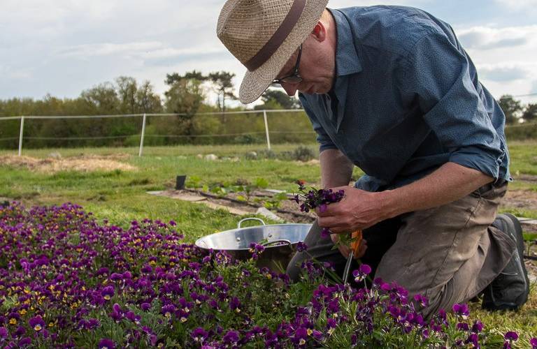  Piquemouche (Centre-Val de Loire, Indre-et-Loire)