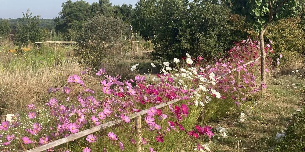  Ecogîte Piquemouche - Aromatic &amp; medicinal plant farm (Centre-Val de Loire, Indre-et-Loire)