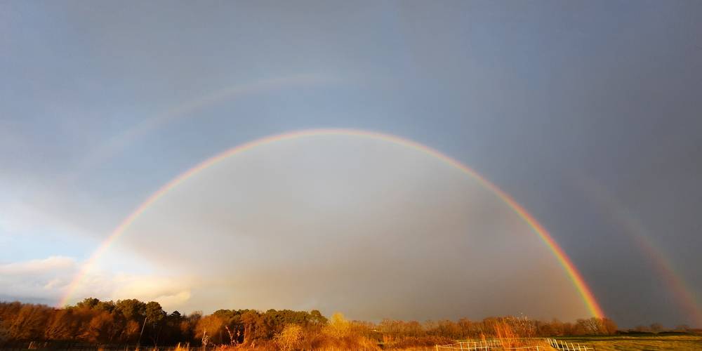  Ecogîte Piquemouche - Aromatic &amp; medicinal plant farm (Centre-Val de Loire, Indre-et-Loire)