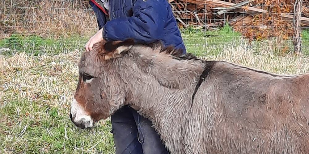  Ecogîte Piquemouche - Aromatic &amp; medicinal plant farm (Centre-Val de Loire, Indre-et-Loire)