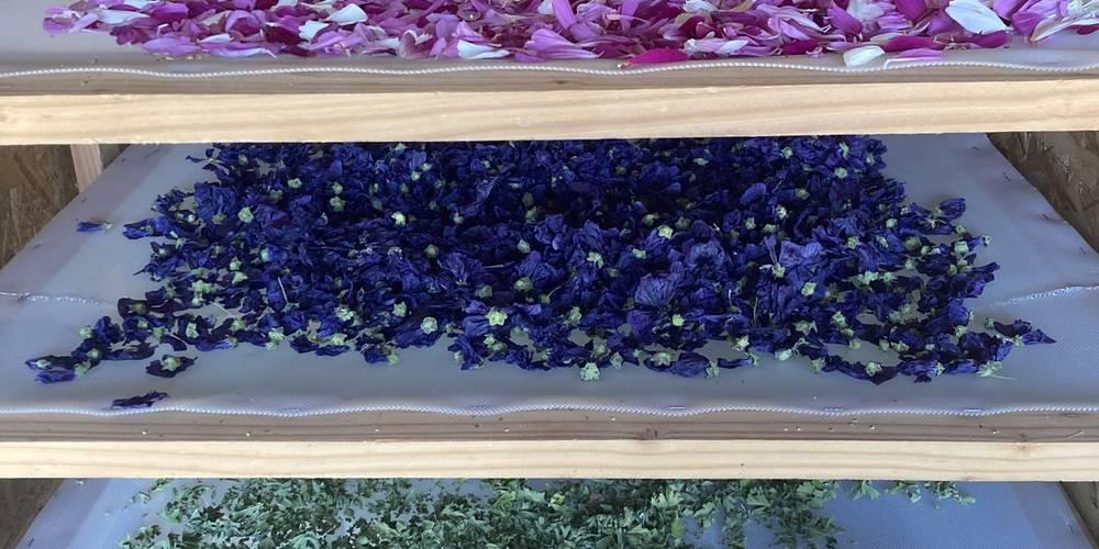  Ecogîte Piquemouche - Aromatic &amp; medicinal plant farm (Centre-Val de Loire, Indre-et-Loire)