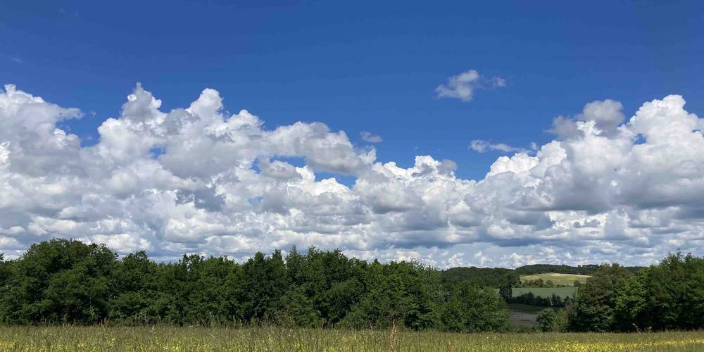  Ecogîte Piquemouche - Aromatic &amp; medicinal plant farm (Centre-Val de Loire, Indre-et-Loire)