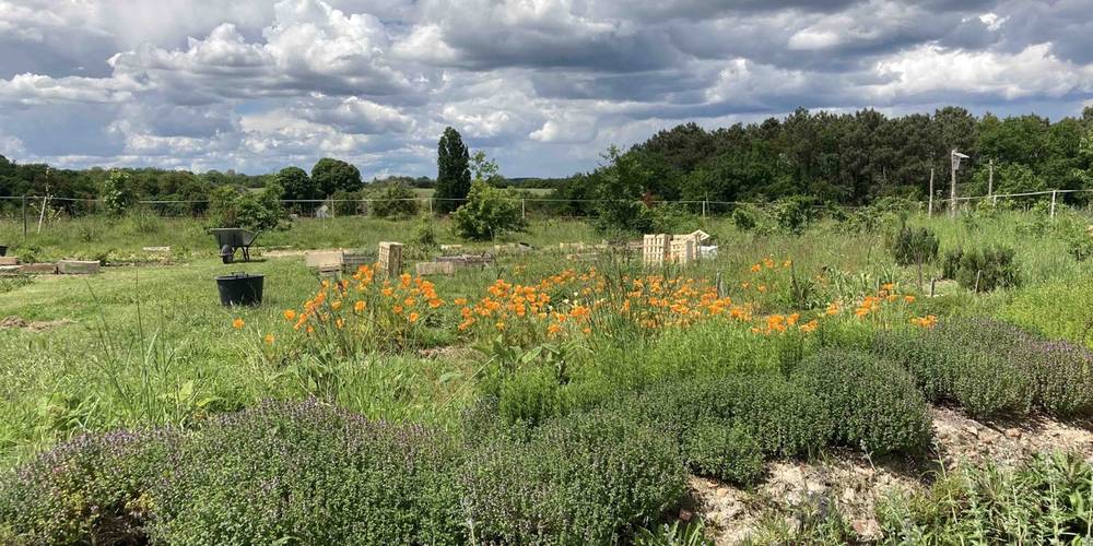  Ecogîte Piquemouche - Aromatic &amp; medicinal plant farm (Centre-Val de Loire, Indre-et-Loire)