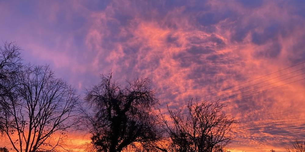  Ecogîte Piquemouche - Aromatic &amp; medicinal plant farm (Centre-Val de Loire, Indre-et-Loire)