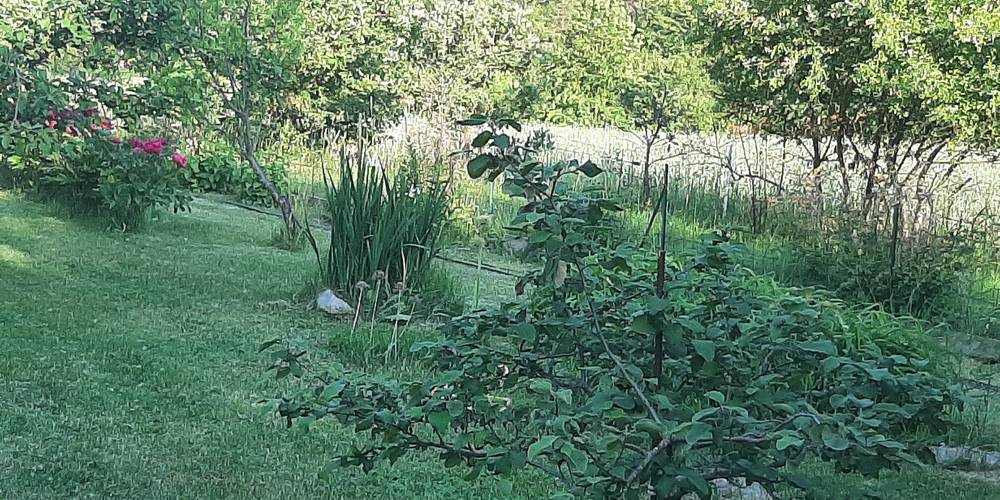 jardin -  L'oustaou dou Pastre [La maison du berger] (Provence-Alpes-Côte d’Azur, Hautes-Alpes)