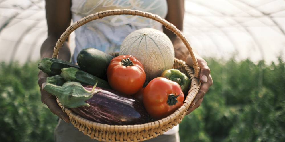  Les Rangs d'oignons (Pays de la Loire, Loire-Atlantique)