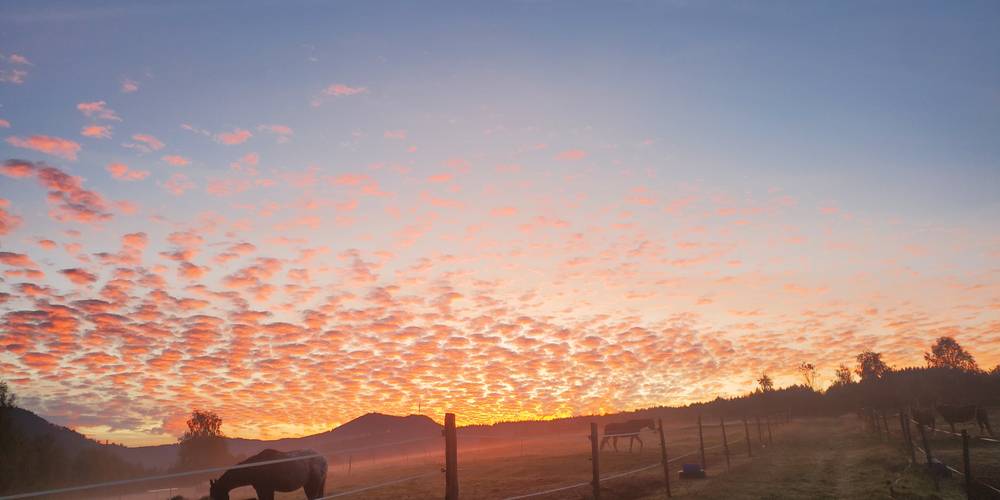  Ranch du Donon (Grand Est, Vosges)