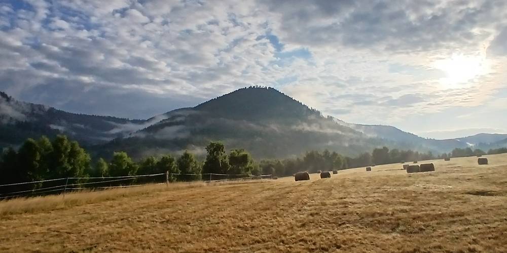  Ranch du Donon (Grand Est, Vosges)