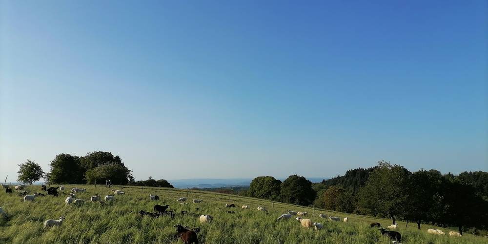  Mandra Farm (Occitanie, Lot)