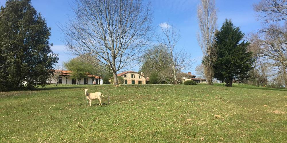  Domaine du Canteau d'YF (Occitanie, Gers)