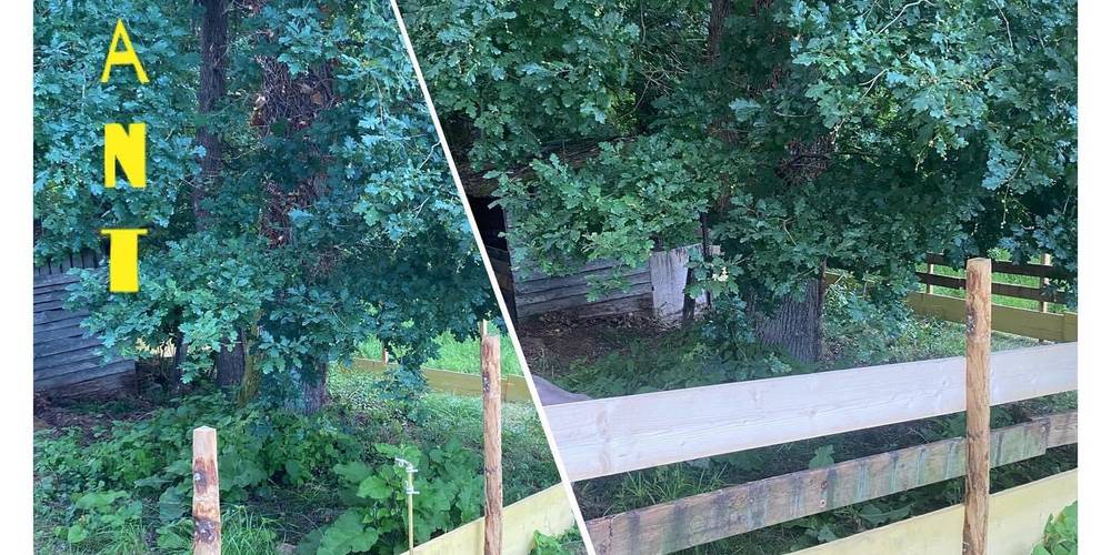  Domaine du Canteau d'YF (Occitanie, Gers)