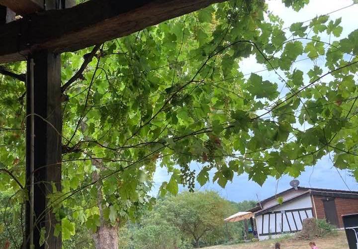  Domaine du Canteau d'YF (Occitanie, Gers)