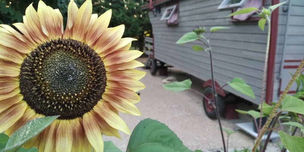  Au jardin de la Vouivre (Bourgogne-Franche-Comté, Saône-et-Loire)
