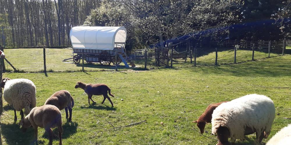  Au jardin de la Vouivre (Bourgogne-Franche-Comté, Saône-et-Loire)