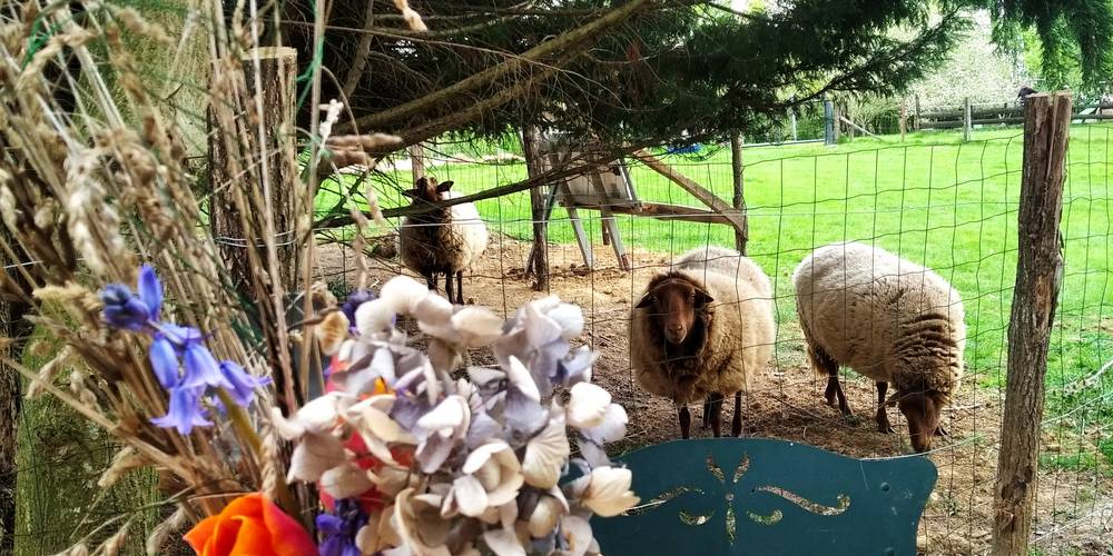  Au jardin de la Vouivre (Bourgogne-Franche-Comté, Saône-et-Loire)