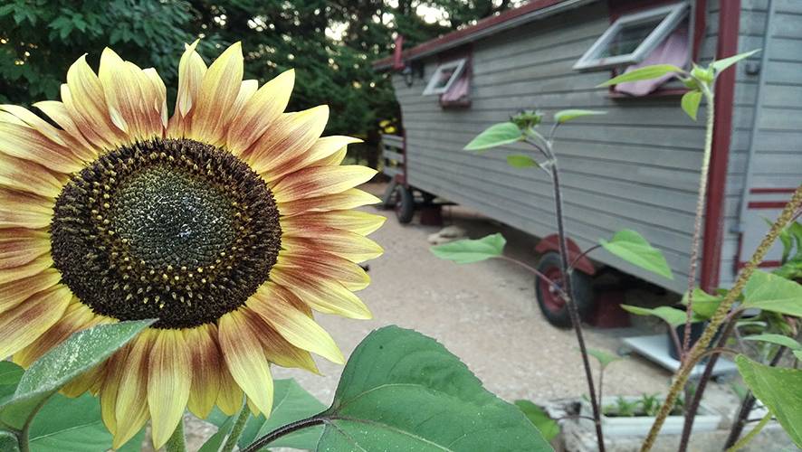  Au jardin de la Vouivre (Bourgogne-Franche-Comté, Saône-et-Loire)