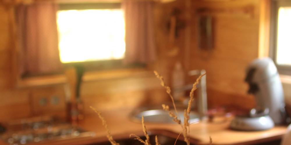  Au jardin de la Vouivre (Bourgogne-Franche-Comté, Saône-et-Loire)