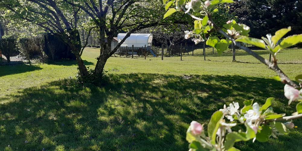  Au jardin de la Vouivre (Bourgogne-Franche-Comté, Saône-et-Loire)