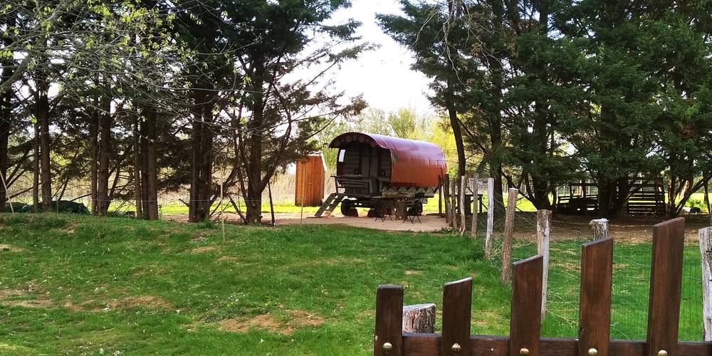  Au jardin de la Vouivre (Bourgogne-Franche-Comté, Saône-et-Loire)