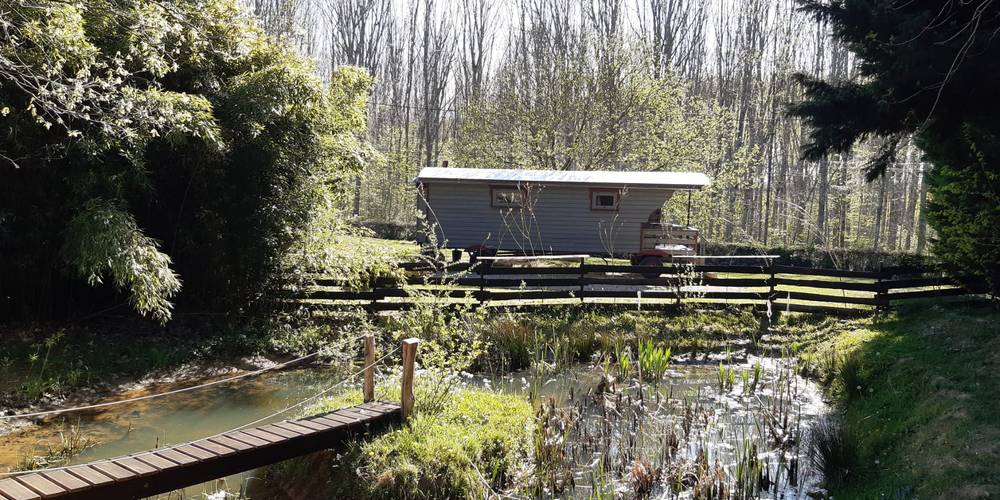  Au jardin de la Vouivre (Bourgogne-Franche-Comté, Saône-et-Loire)