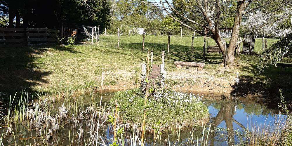  Au jardin de la Vouivre (Bourgogne-Franche-Comté, Saône-et-Loire)
