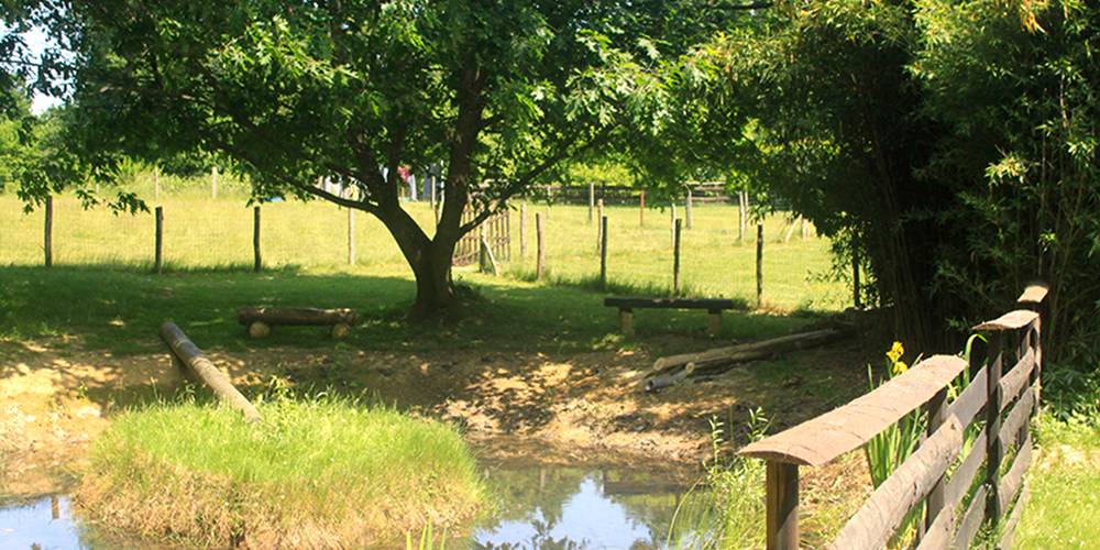  Au jardin de la Vouivre (Bourgogne-Franche-Comté, Saône-et-Loire)