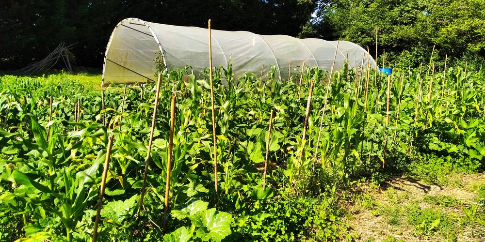  Au jardin de la Vouivre (Bourgogne-Franche-Comté, Saône-et-Loire)