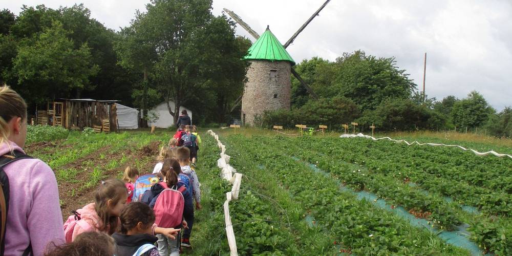  Belle née Mill (Bretagne, Ille-et-Vilaine)