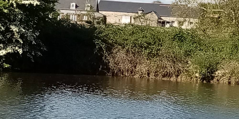  Le Gîte des Rivières (Pays de la Loire, Maine-et-Loire)
