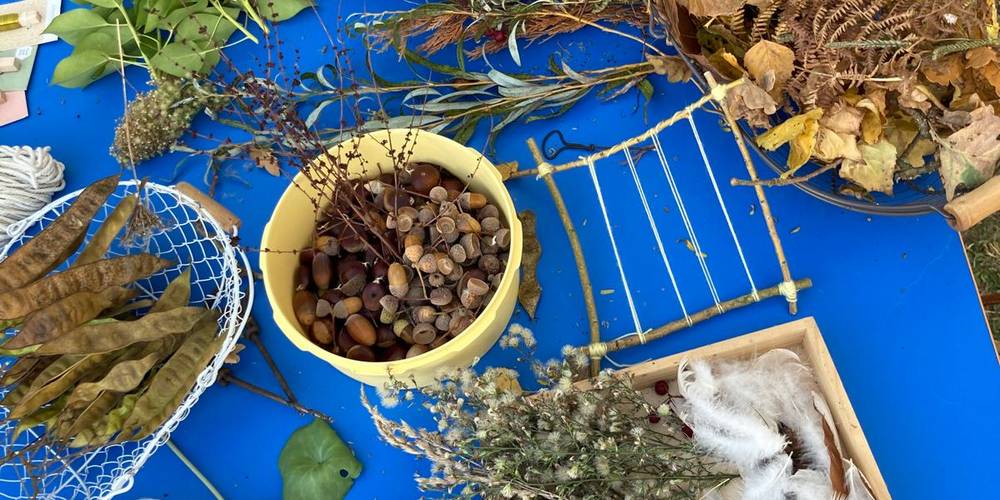 les trésors d'automne -  Au Pas...Radis! (Pays de la Loire, Vendée)