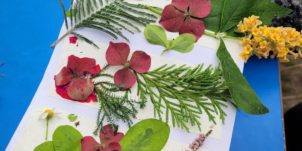 atelier nature coloré -  Au Pas...Radis! (Pays de la Loire, Vendée)