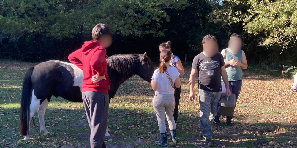  Au Pas...Radis! (Pays de la Loire, Vendée)