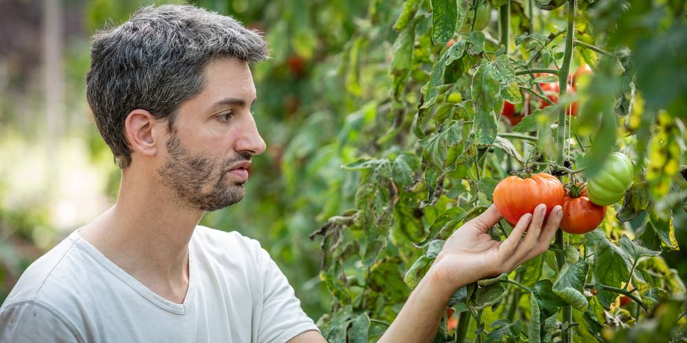 (crédit photo S. Yagiz) -  Le Verdet, Dormir au Jardin (Occitanie, Tarn)