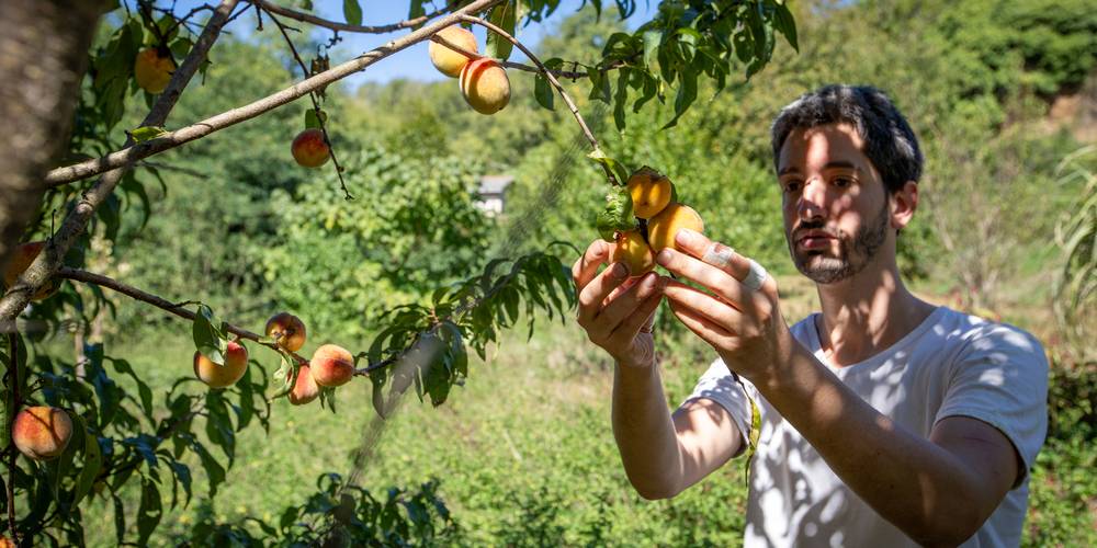 (crédit photo S. Yagiz) -  Le Verdet, Dormir au Jardin (Occitanie, Tarn)