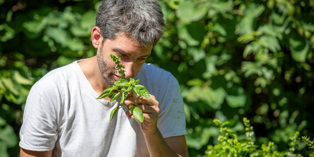 (crédit photo S. Yagiz) -  Le Verdet, Dormir au Jardin (Occitanie, Tarn)