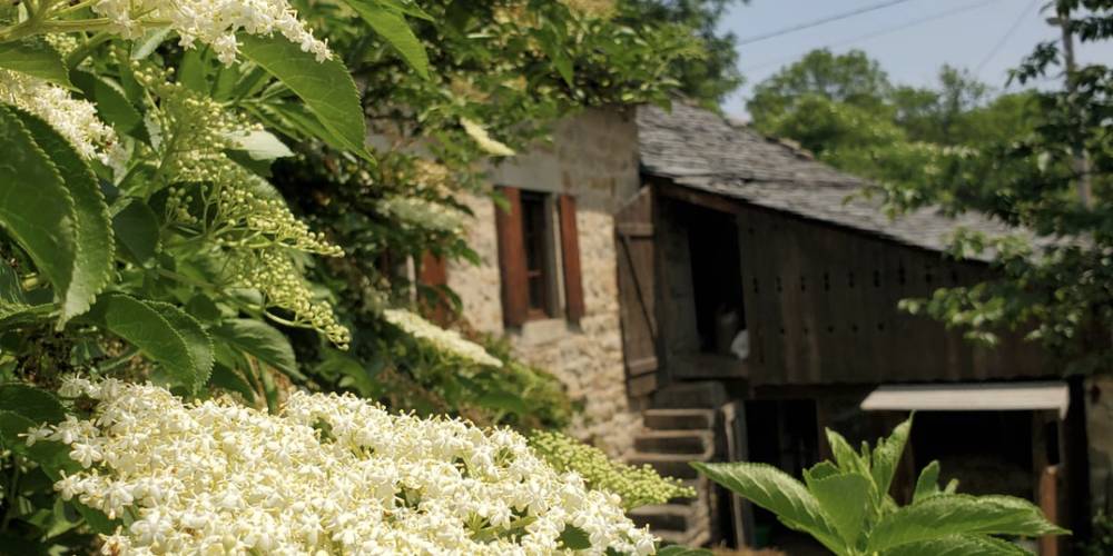 le jardin -  La Ferme de Sabadel (Auvergne-Rhône-Alpes, Haute-Loire)