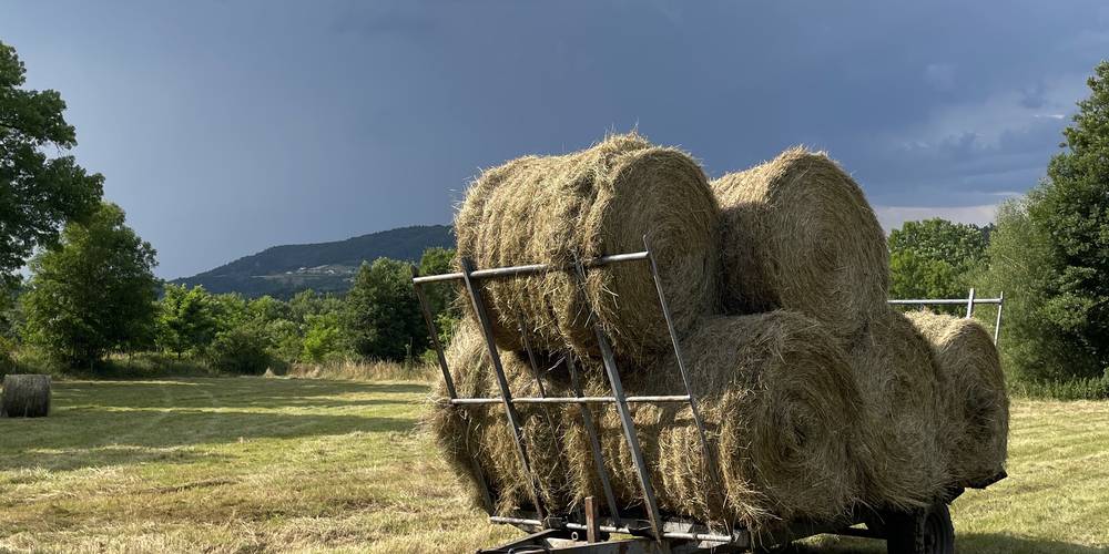 le foin pour l'hiver -  La Ferme de Sabadel (Auvergne-Rhône-Alpes, Haute-Loire)