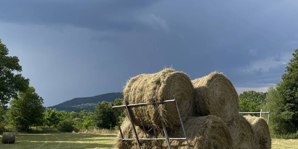 le foin pour l'hiver -  La Ferme de Sabadel (Auvergne-Rhône-Alpes, Haute-Loire)