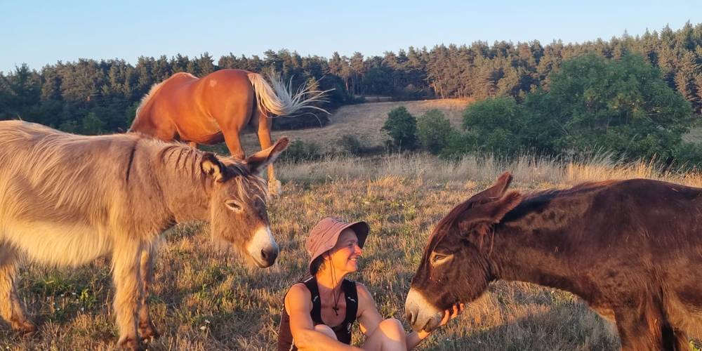 avec les équidés -  La Ferme de Sabadel (Auvergne-Rhône-Alpes, Haute-Loire)