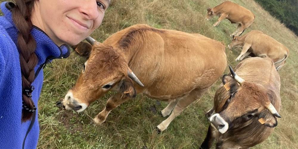 Emma et les Aubrac -  La Ferme de Sabadel (Auvergne-Rhône-Alpes, Haute-Loire)