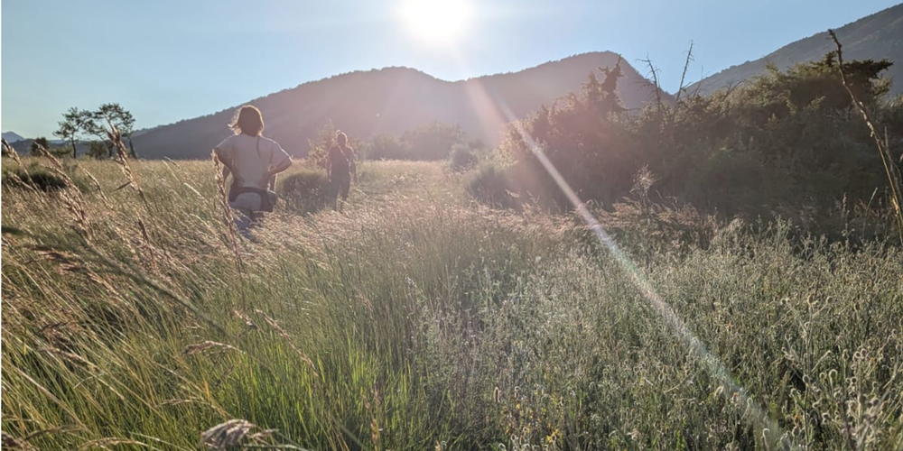 Balade de fin de journée bien méritée -  La Ferme des églantiers (Provence-Alpes-Côte d’Azur, Hautes-Alpes)