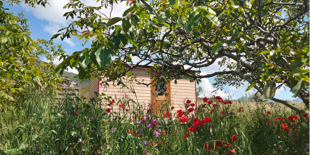 Roulotte dans son écrin de coquelicots -  La Ferme des églantiers (Provence-Alpes-Côte d’Azur, Hautes-Alpes)