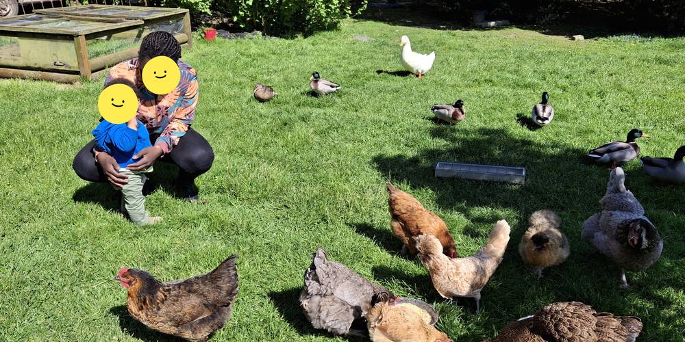  Un brin de Campagne (Normandie, Calvados)