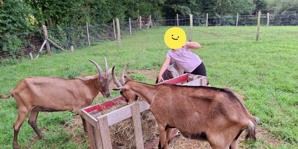  Un brin de Campagne (Normandie, Calvados)