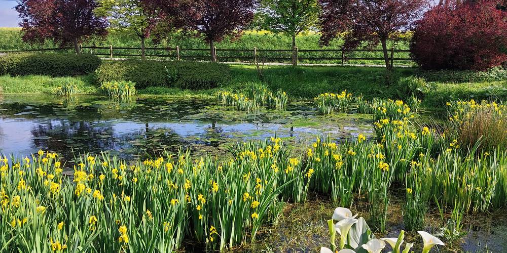  Un brin de Campagne (Normandie, Calvados)