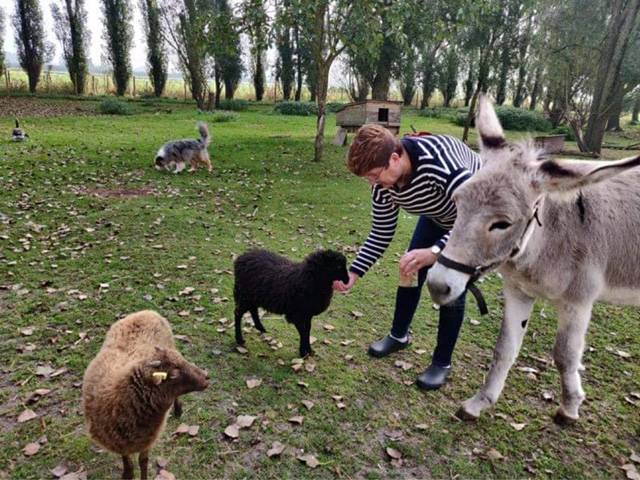  La ferme aux Paons (Hauts-de-France, Nord)